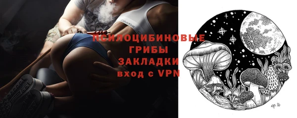 стаф Алексин