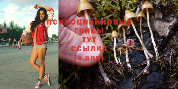 мескалин Алексеевка