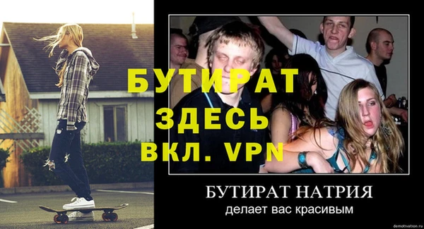 стаф Алексин