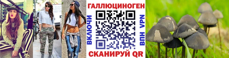 Псилоцибиновые грибы Magic Shrooms  Михайловск 
